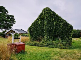 Classic Villa | Garden view