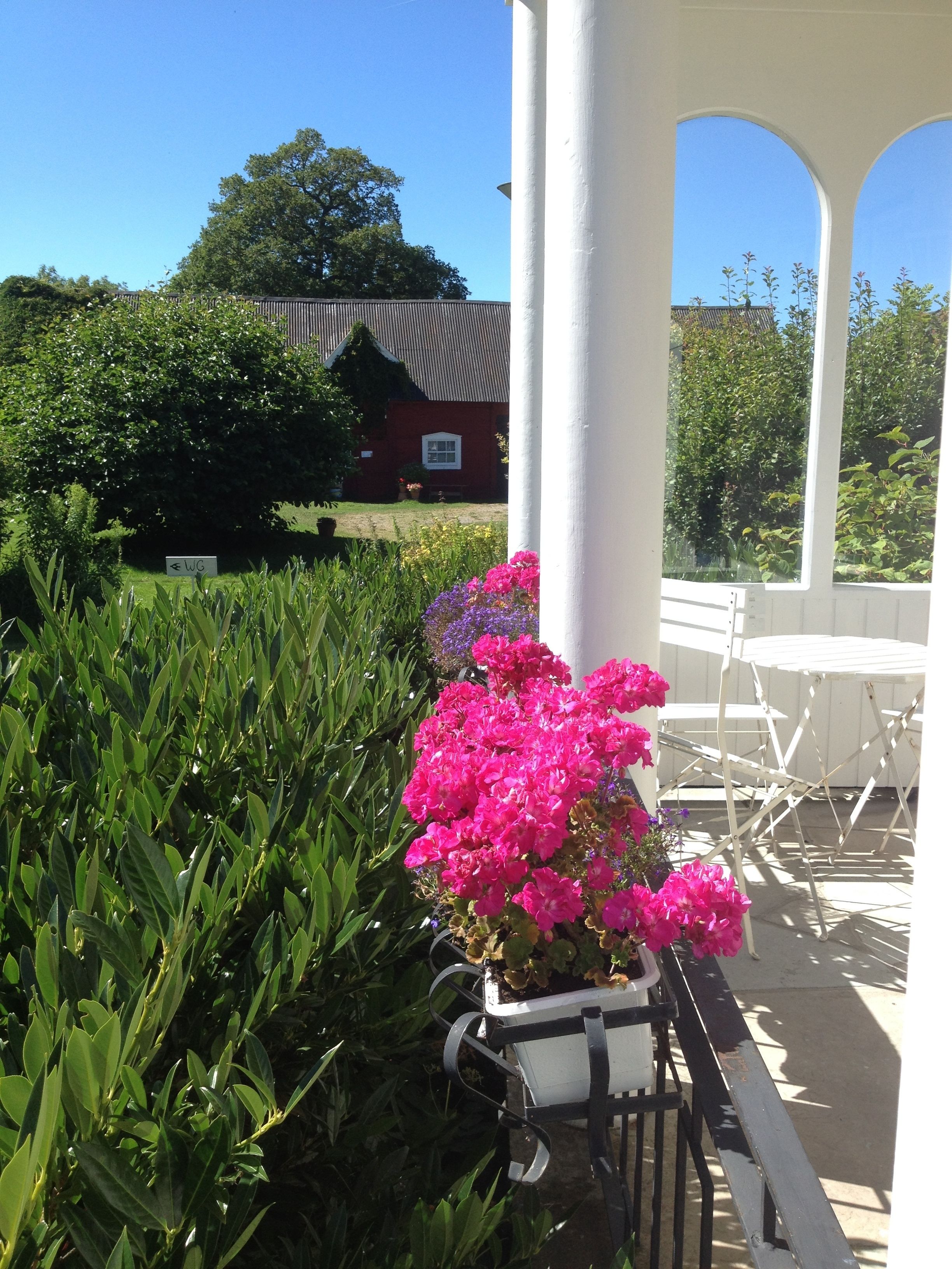 Utsikt från boendet