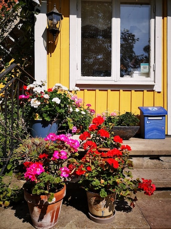 Vista al jardín. STF Vandrarhem Hagaby Lantgården - Hostel
