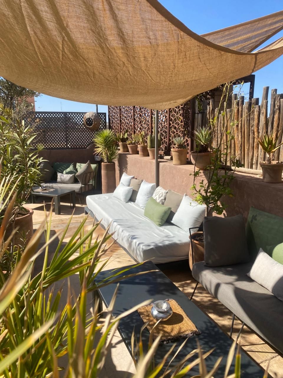An outdoor seating area with a sofa, chairs, and a table, surrounded by potted plants and a shaded canopy.