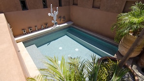 Una piscina con pavimento piastrellato, una scultura di cactus decorativo e una palma.