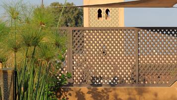 Lunch and dinner served, Moroccan cuisine