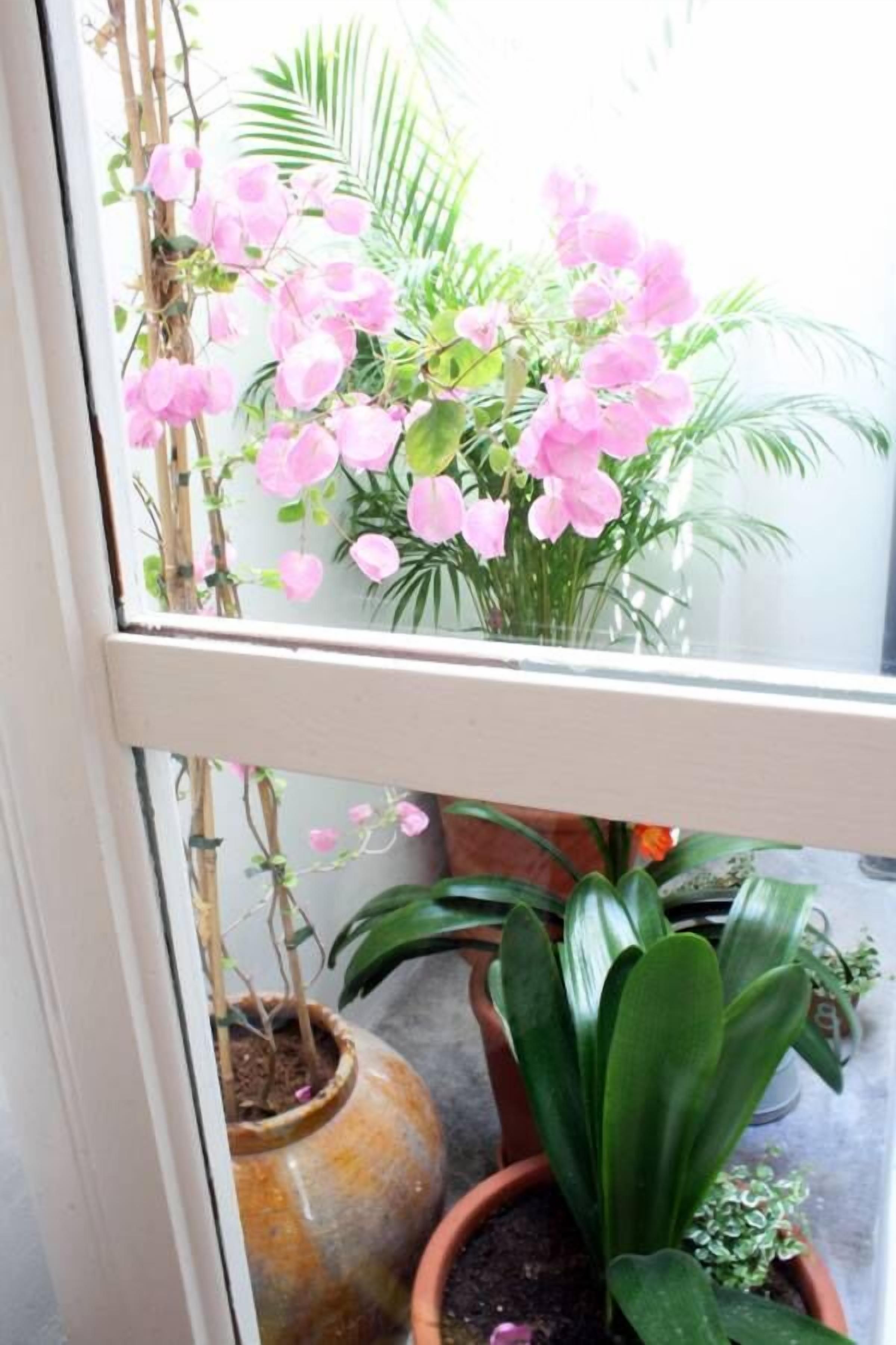 1 bedroom, premium bedding, minibar, in-room safe