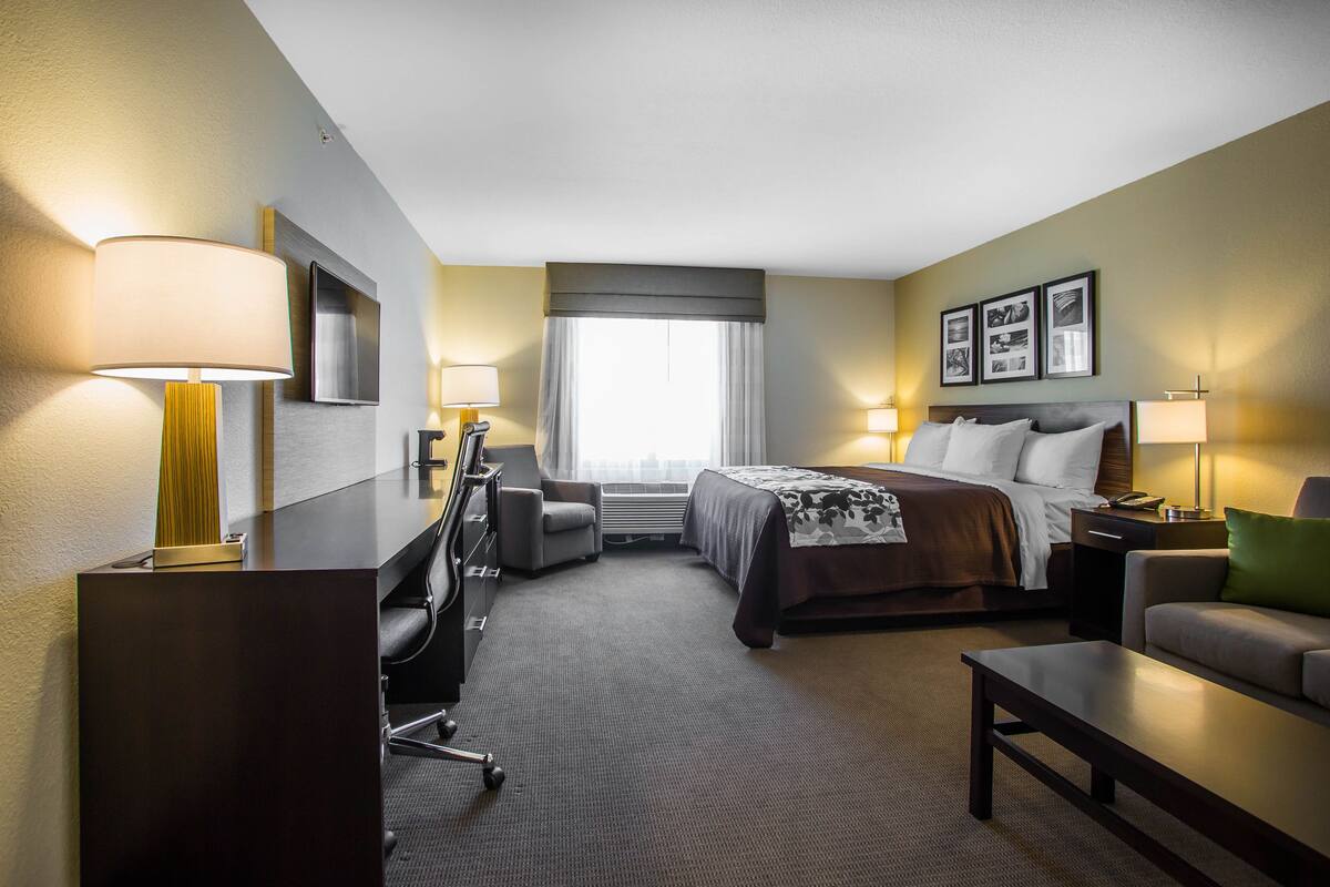 A hotel room with a bed, a desk, a chair, a sofa, and a TV mounted on the wall.