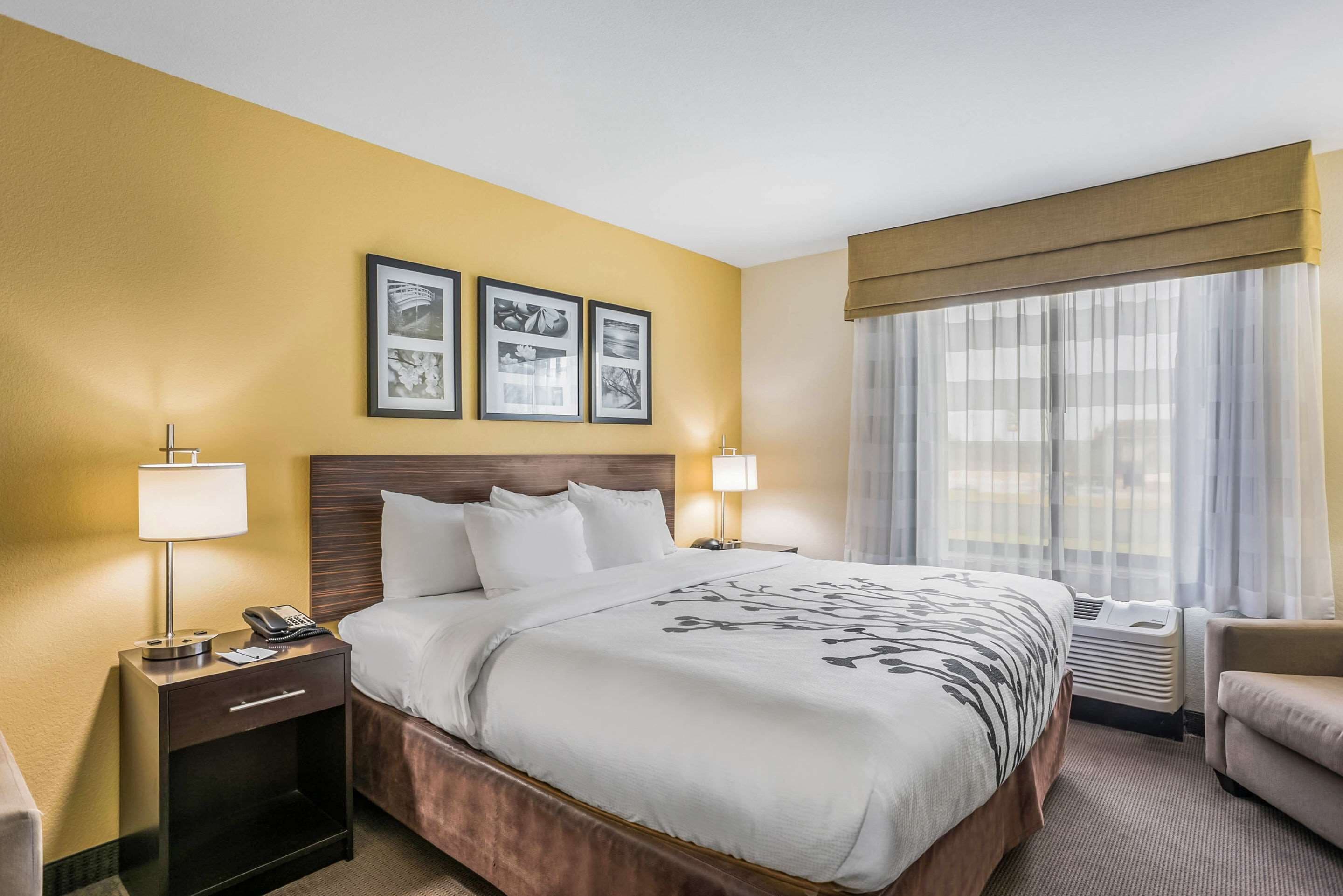 suite, 1 king bed with sofa bed | desk, iron/ironing board, free cots/infant beds, free wifi