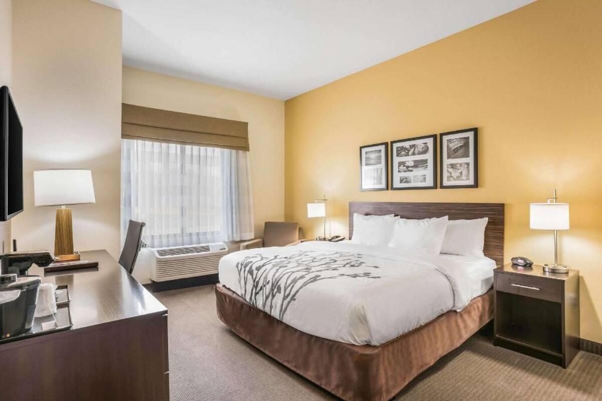 A hotel room with a bed, bedside tables, a desk, a chair, a TV, and framed pictures on the wall.