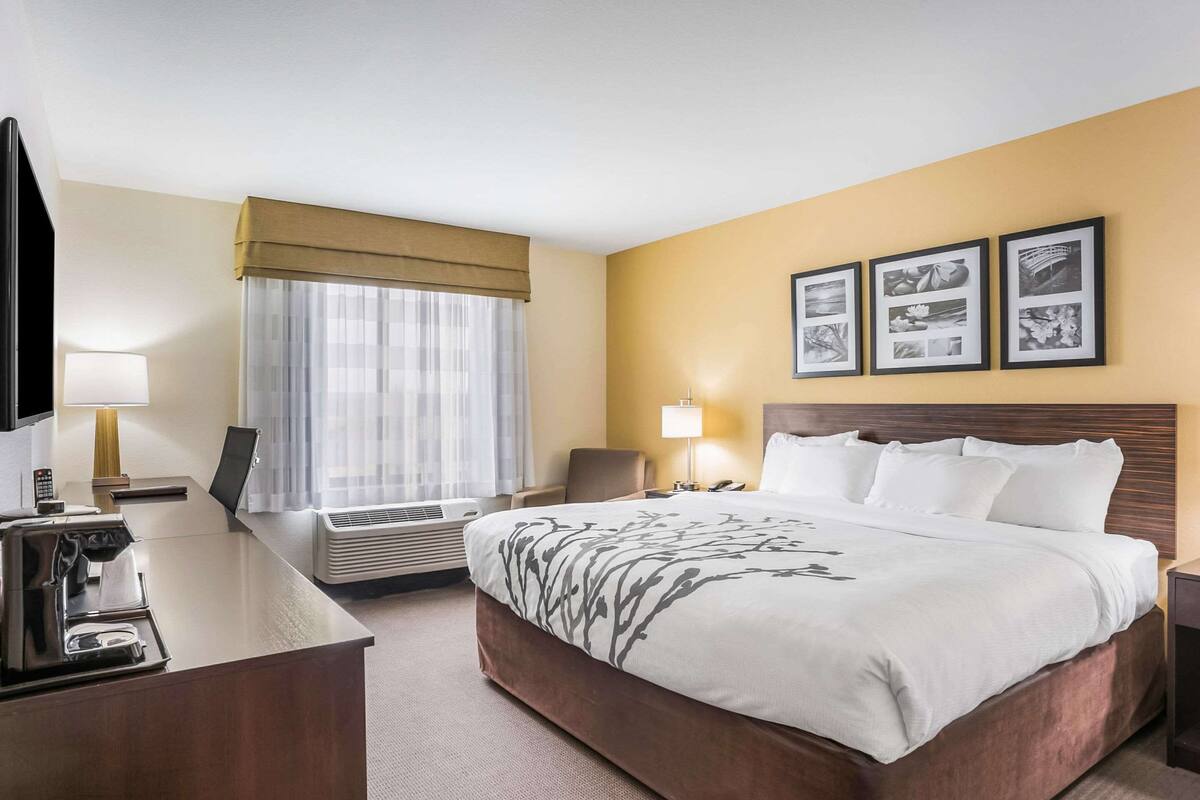 A hotel room with a bed, desk, and chair. There is a window with curtains, a wall-mounted TV, and framed pictures on the wall.