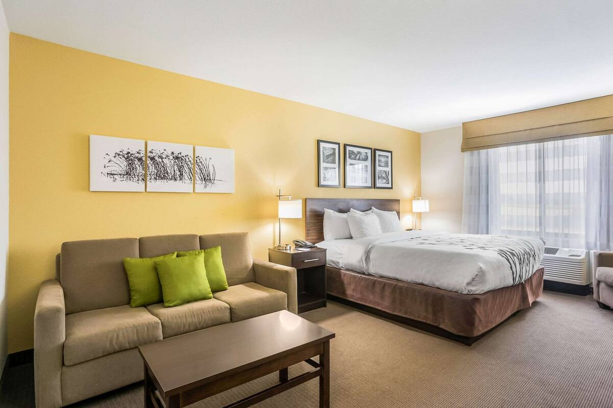 suite, 1 king bed with sofa bed | desk, iron/ironing board, free cots/infant beds, free wifi