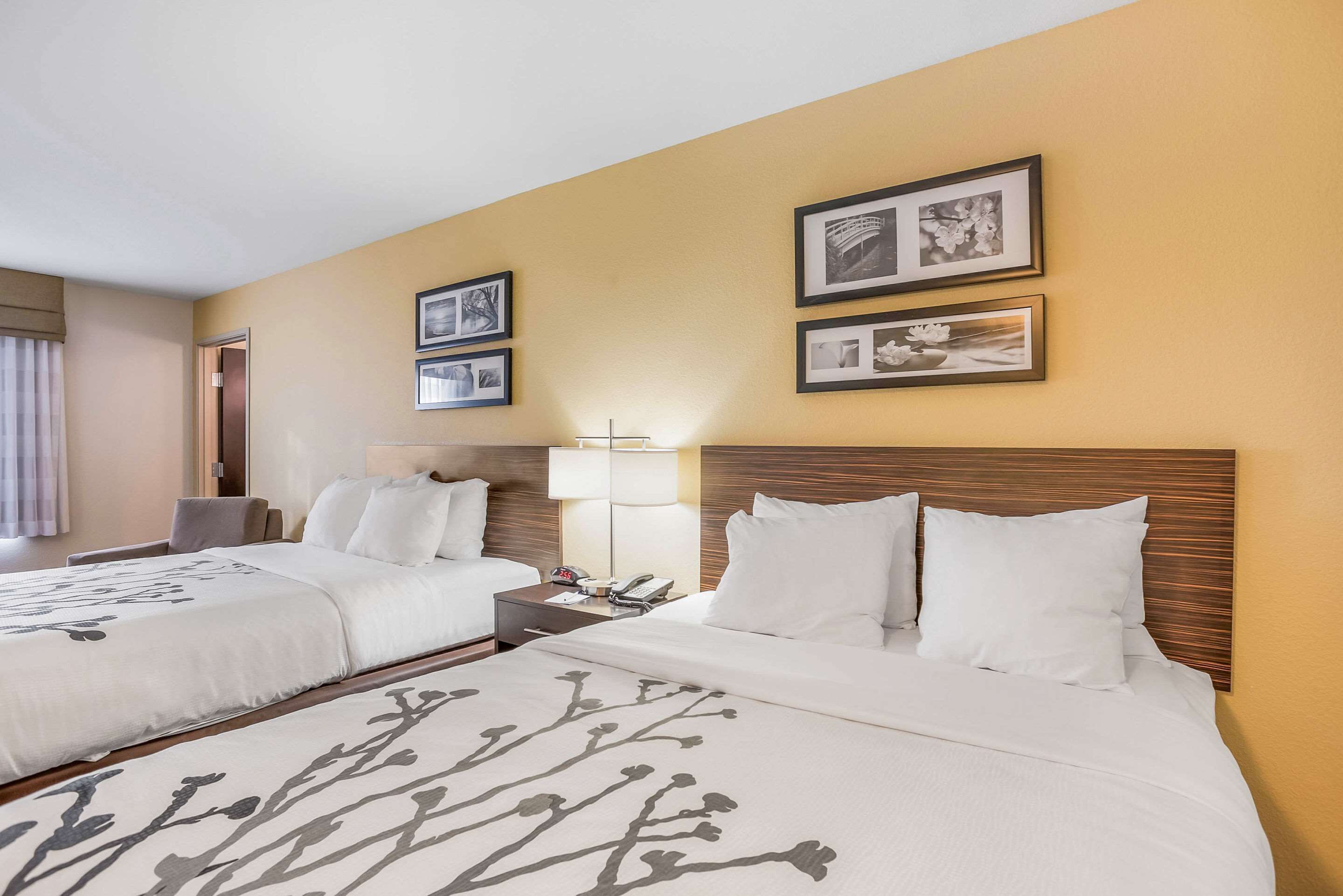 A hotel room with two beds, a nightstand, a lamp, and framed pictures on the wall.