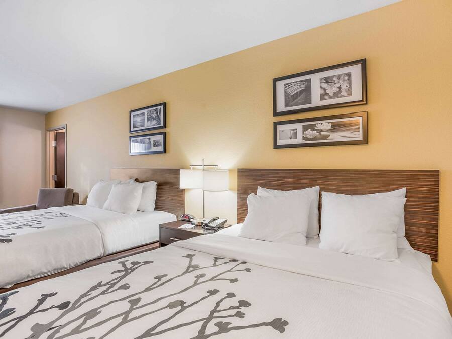 A hotel room with two beds, a nightstand, a lamp, and framed pictures on the wall.