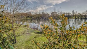 A serene lakeside view with trees and a bench.