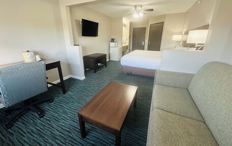 A hotel room with a bed, a sofa, a desk, a chair, a coffee table, a TV, and a ceiling fan.