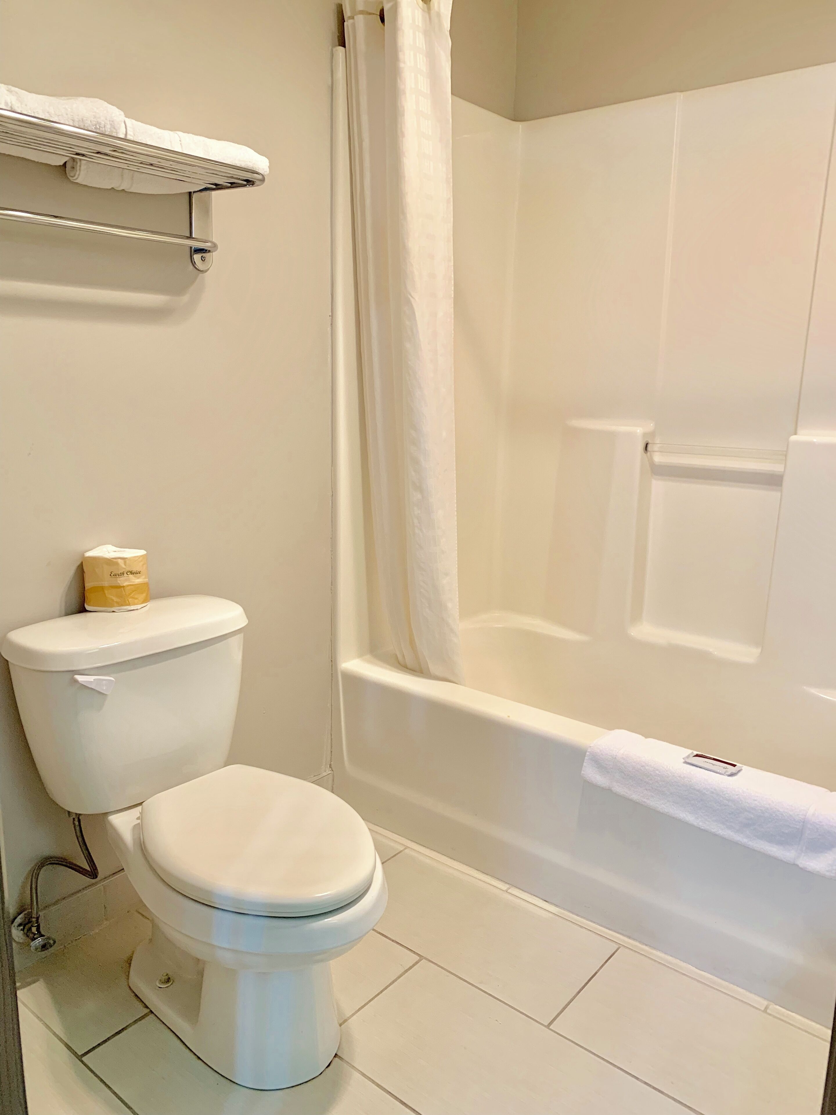 A bathroom with a toilet, a bathtub, and a shower curtain.