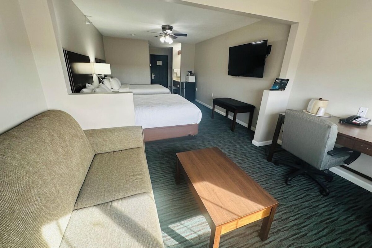 A hotel room with a bed, a sofa, a desk, a chair, a television, and a ceiling fan.