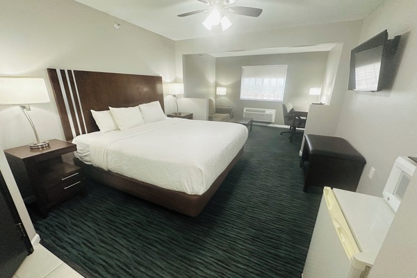 套房, 1 张特大床 | 高档床上用品、办公桌、笔记本电脑工作区、遮光窗帘