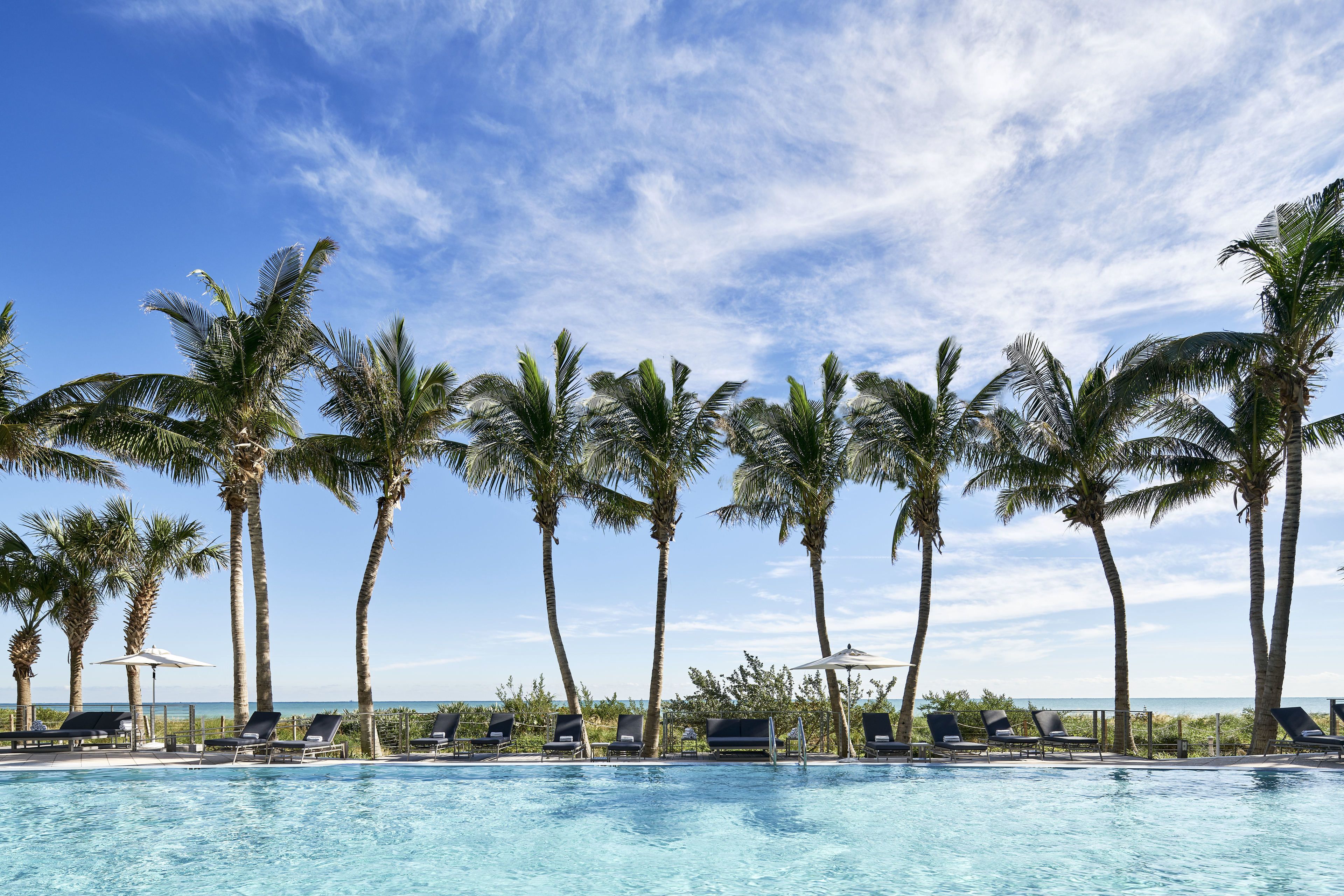 A poolside area with lounge chairs and palm trees, overlooking a clear blue sky.