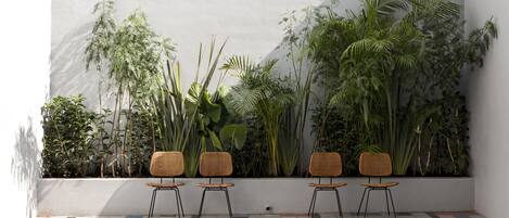 Uma área de estar com cadeiras de vime e diversas plantas em frente a uma parede branca.