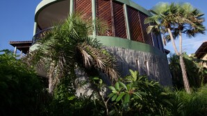 Un edificio circular con fachada verde y ventanas de celosía de madera, rodeado de exuberante vegetación tropical.