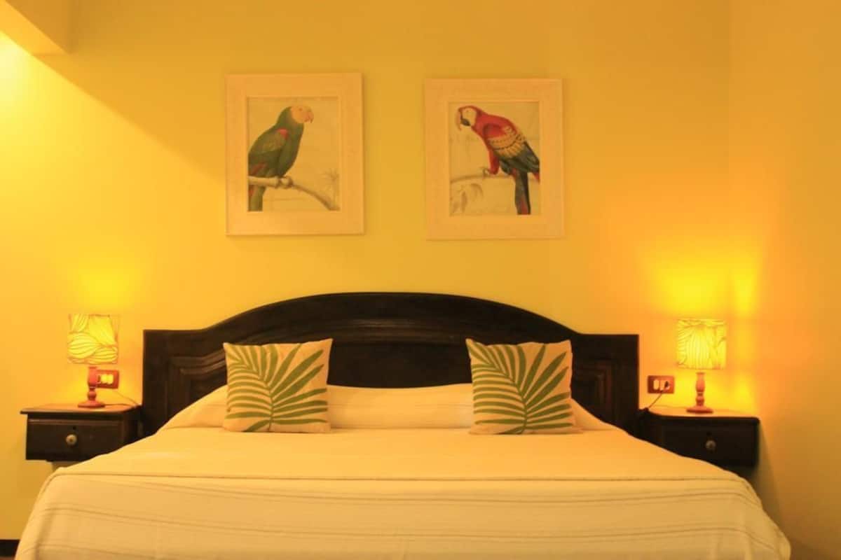 Habitación de hotel con cama, dos mesitas de noche, dos lámparas y dos cuadros con imágenes de guacamayos en la pared.