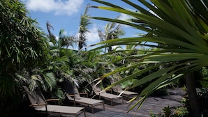 Una terraza con sillones de descanso rodeada de plantas tropicales y palmeras.
