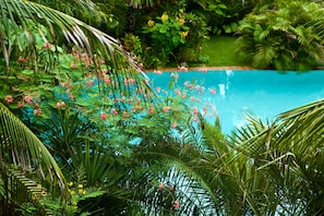Une piscine entourée d’une végétation tropicale luxuriante, sous un ciel bleu et dégagé.