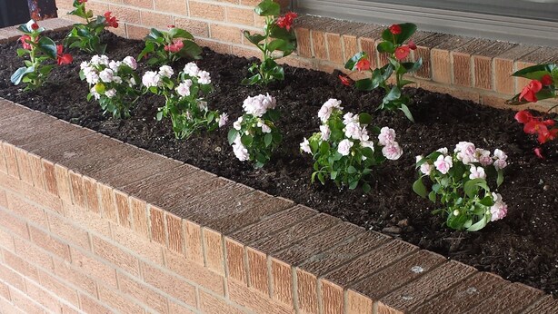 Un bâtiment en briques avec une fenêtre et un parterre fleuri où poussent des fleurs roses et rouges.