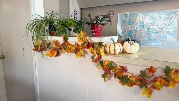 Un comptoir de cuisine décoré d’une guirlande de feuilles d’automne, d’une plante en pot et de deux citrouilles.