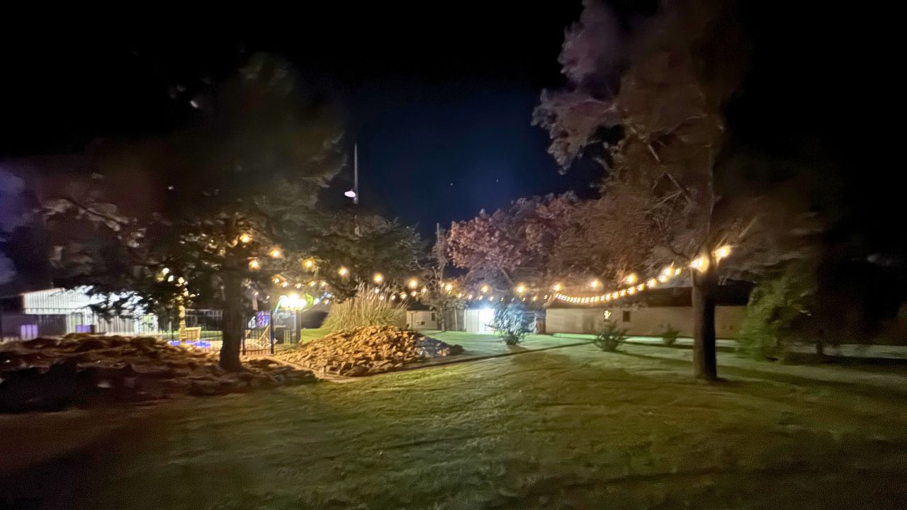 A nighttime outdoor area with string lights, trees, and a building in the background.