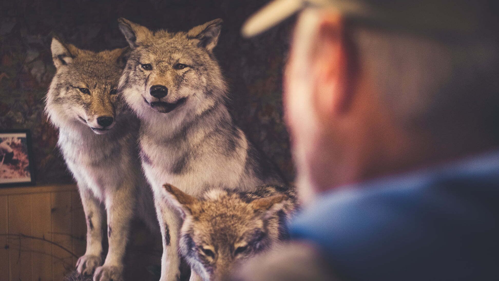 ropes course (team building)