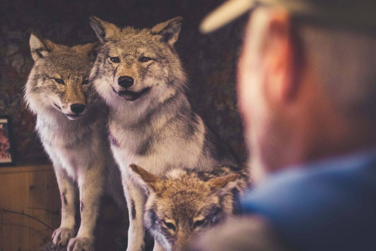 ropes course (team building)