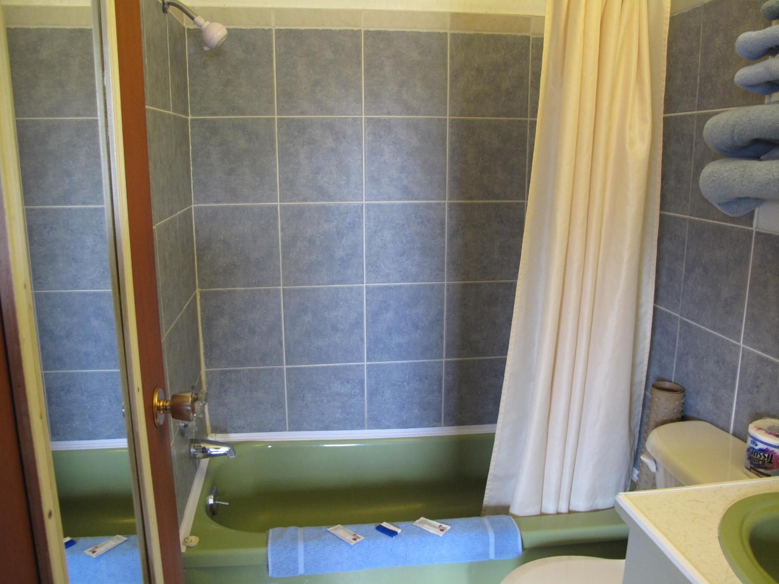 Un baño con una bañera verde, cortina de ducha y un inodoro.