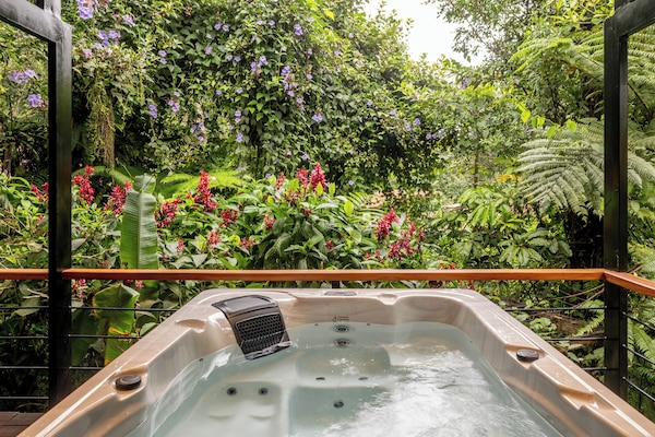 Deluxe Double Room with SPA | 1 quarto, roupas de cama premium, frigobar, cofres nos quartos