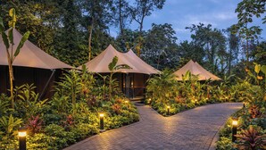 A pathway leading to a building with a covered entrance, surrounded by lush greenery and illuminated by ground lights. - Tifakara by the Waterfall (La Fortuna)
