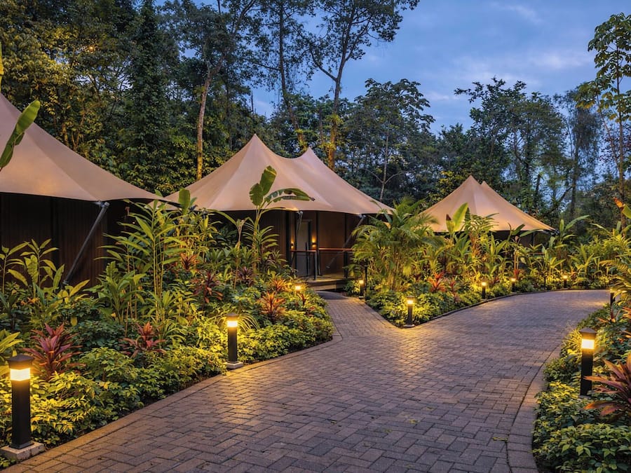 Jungle Luxe Tent