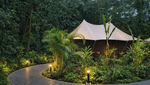 A tented accommodation surrounded by lush greenery, with a paved pathway leading to it. - Tifakara by the Waterfall (La Fortuna)