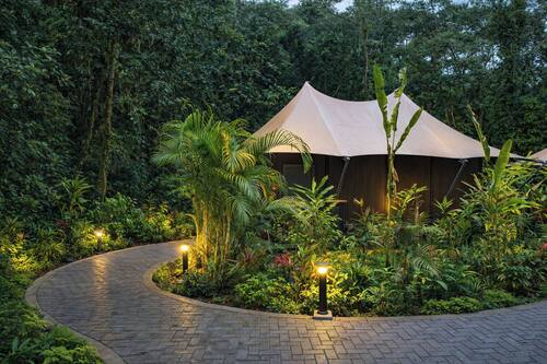 Jungle Luxe Tent | 1 habitación, ropa de cama de alta calidad y edredón