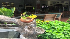 A rustic wooden structure with a potted plant and lush greenery. - Phangan Barsay Hostel (Ko Pha-ngan)