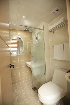 Shower, free toiletries, hair dryer, bathrobes