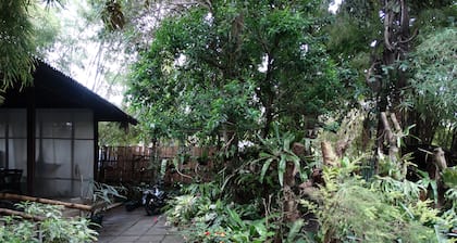 Greenspace Palawan Hotel