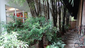 Un jardín con diversas plantas y una estructura de bambú.