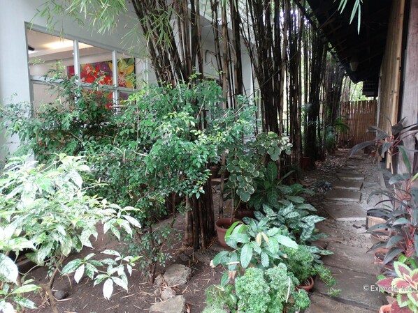 Jardín