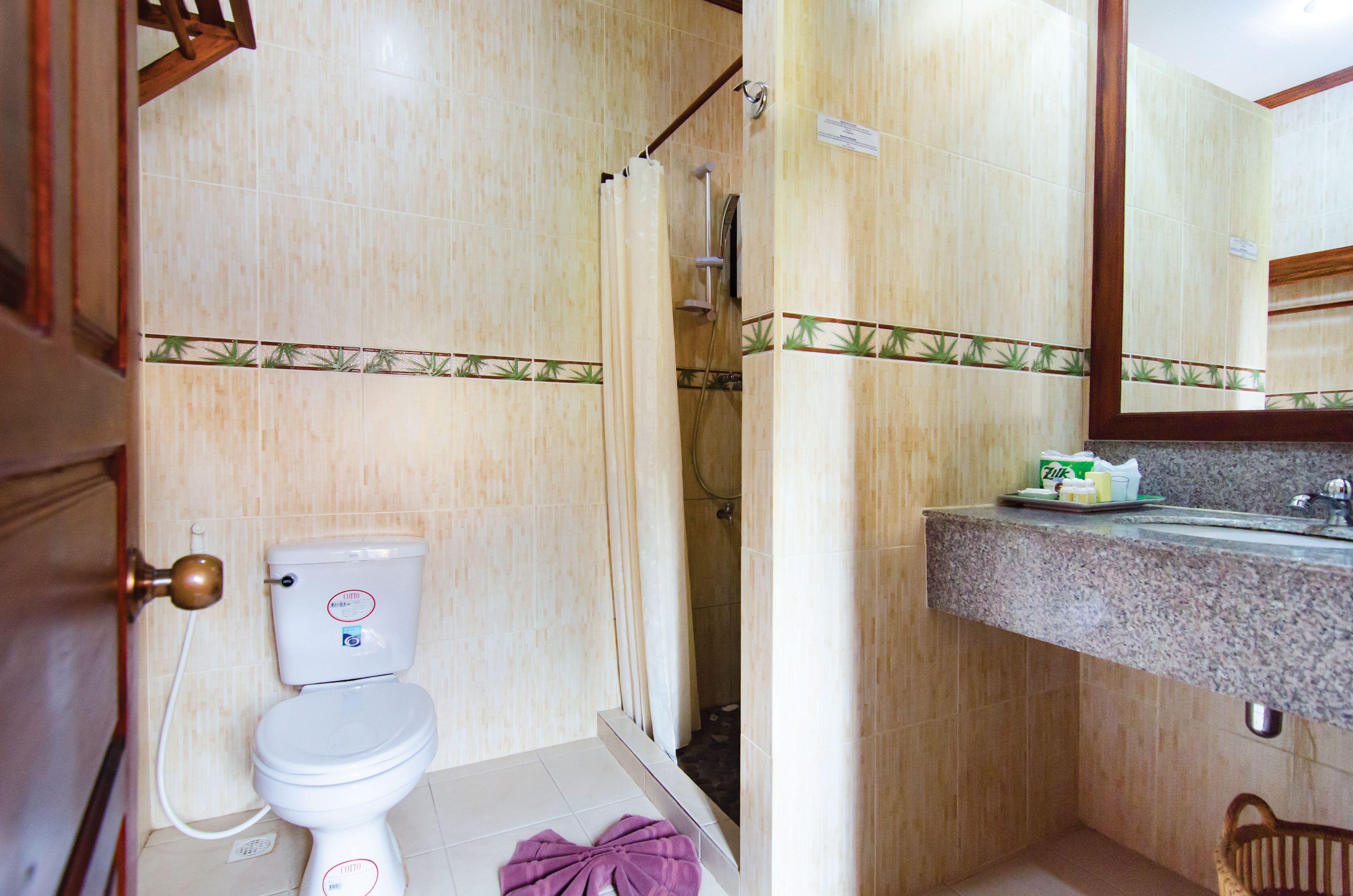 shower, free toiletries, hair dryer, slippers