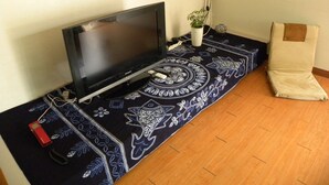 A room with a television on a stand, a power strip, a remote control, a potted plant, and a chair. - Kame House - Hostel (Seoul)