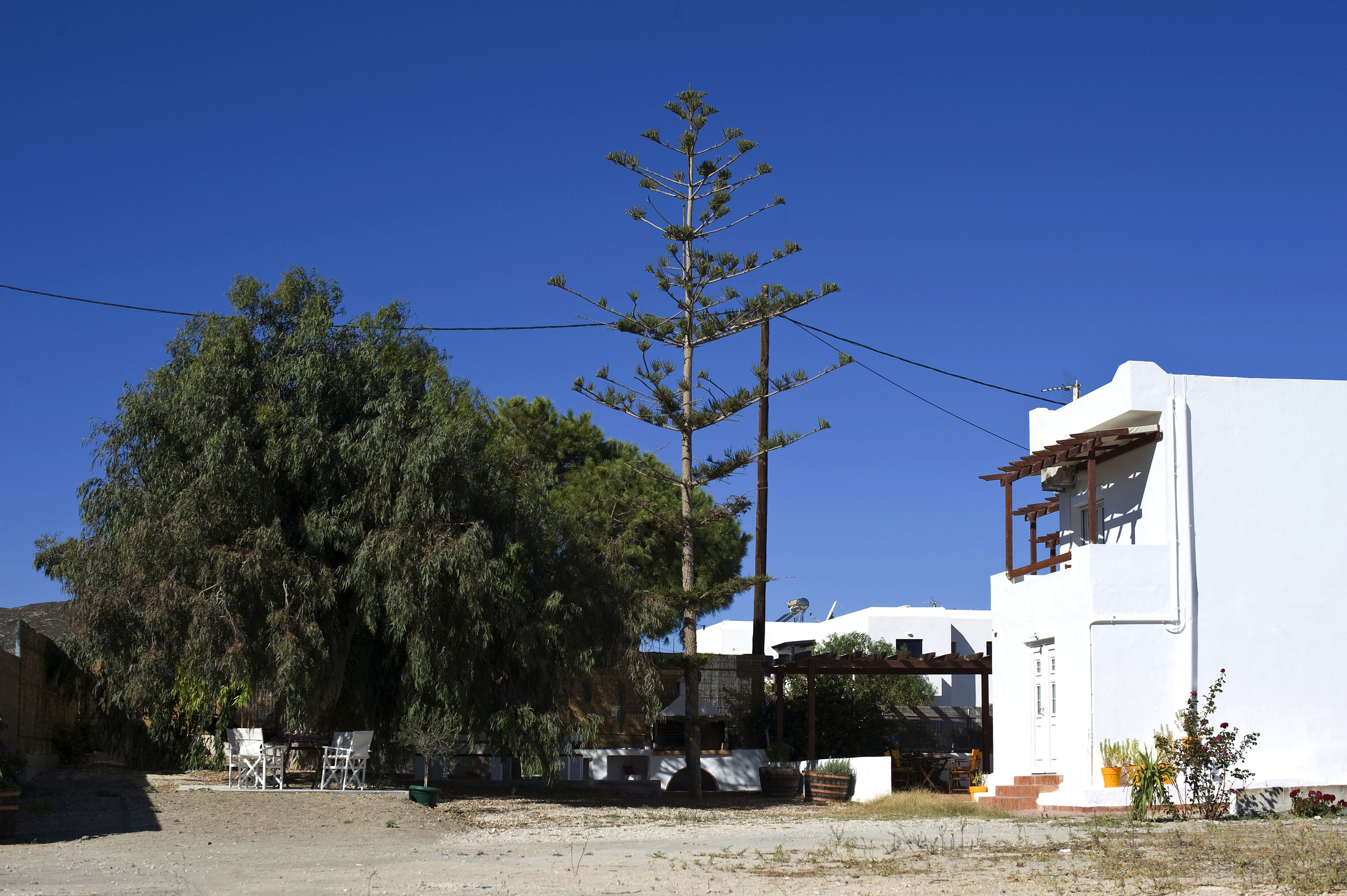 Un bâtiment blanc doté d’un balcon et d’un grand arbre devant.