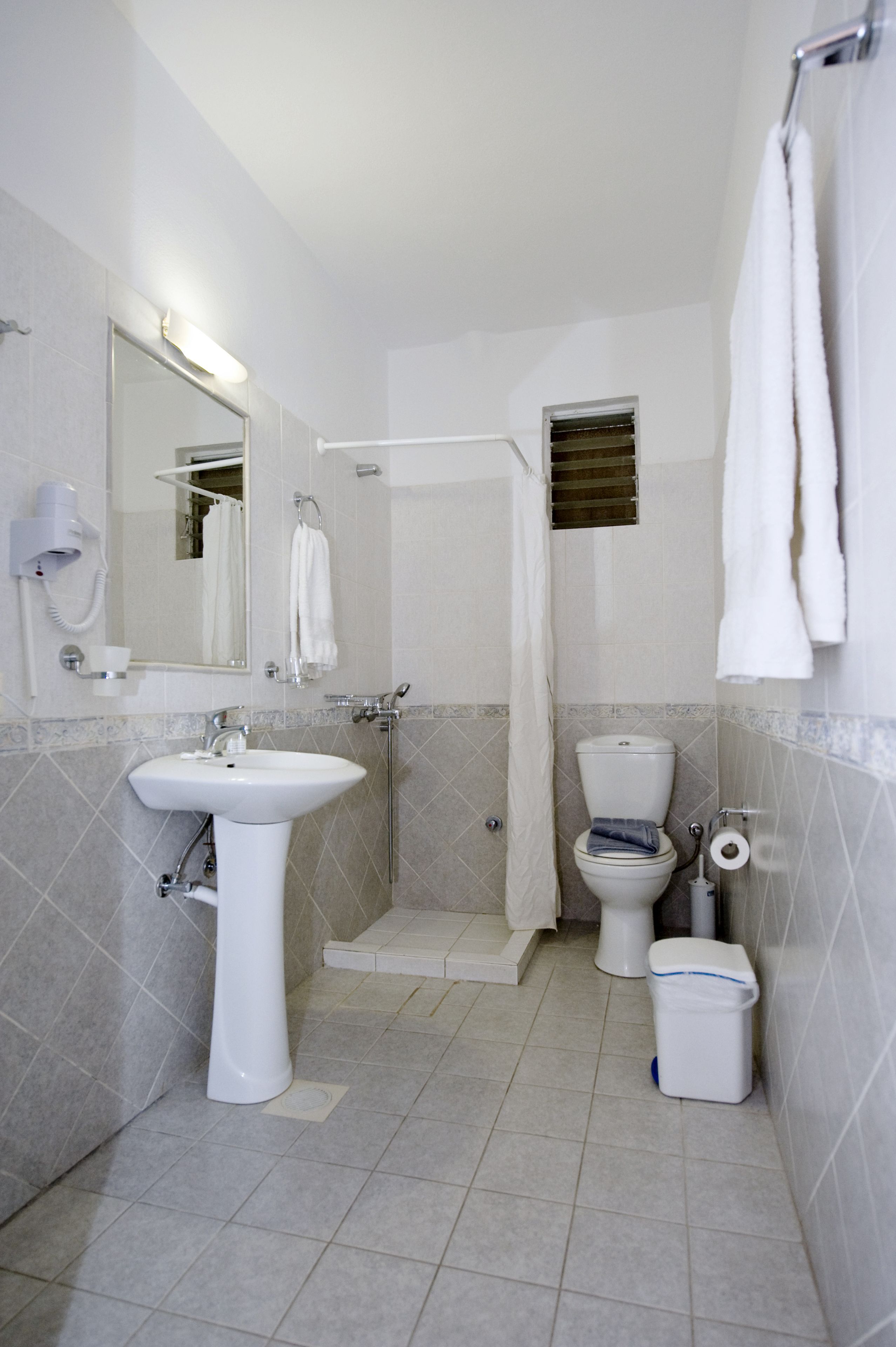 family apartment | bathroom shower