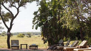 A poolside area with lounge chairs and a small table, surrounded by trees and a grassy field. - Honeyguide Ranger Camp (Mookgopong)