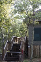 标准帐篷房, 1 间卧室 | 花园景观