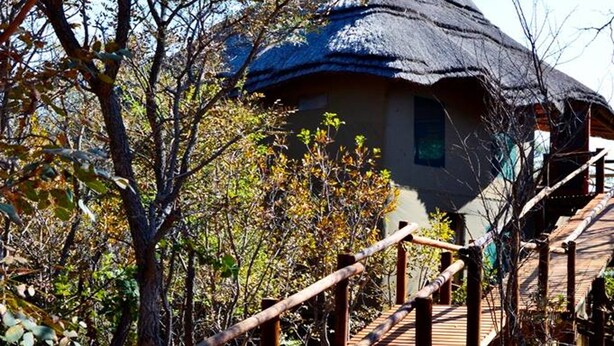 A rustic house with a thatched roof, a wooden staircase, and a dirt path leading to it. - Honeyguide Ranger Camp (Mookgopong)