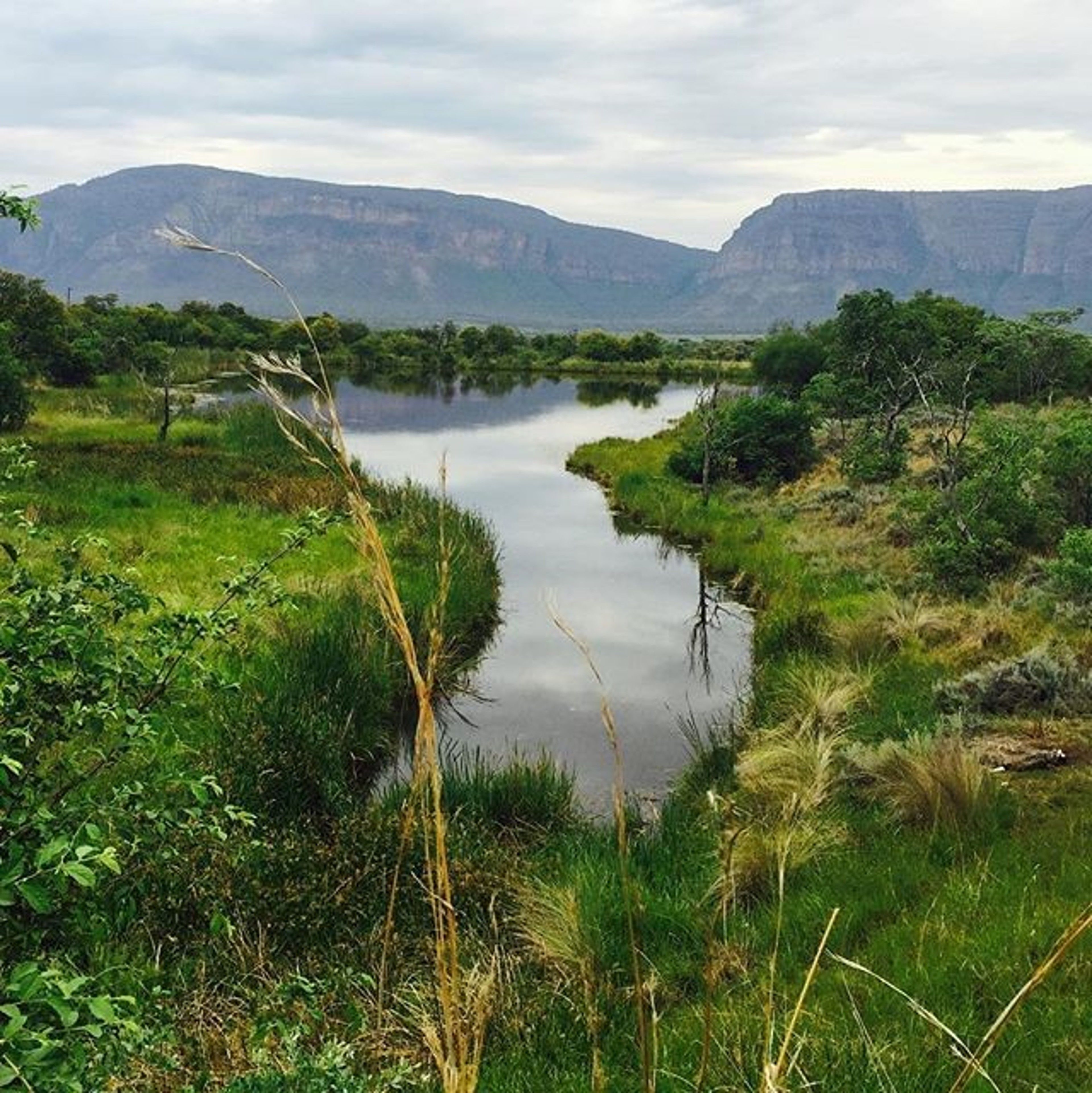 A river meandering through a lush landscape with distant mountains.