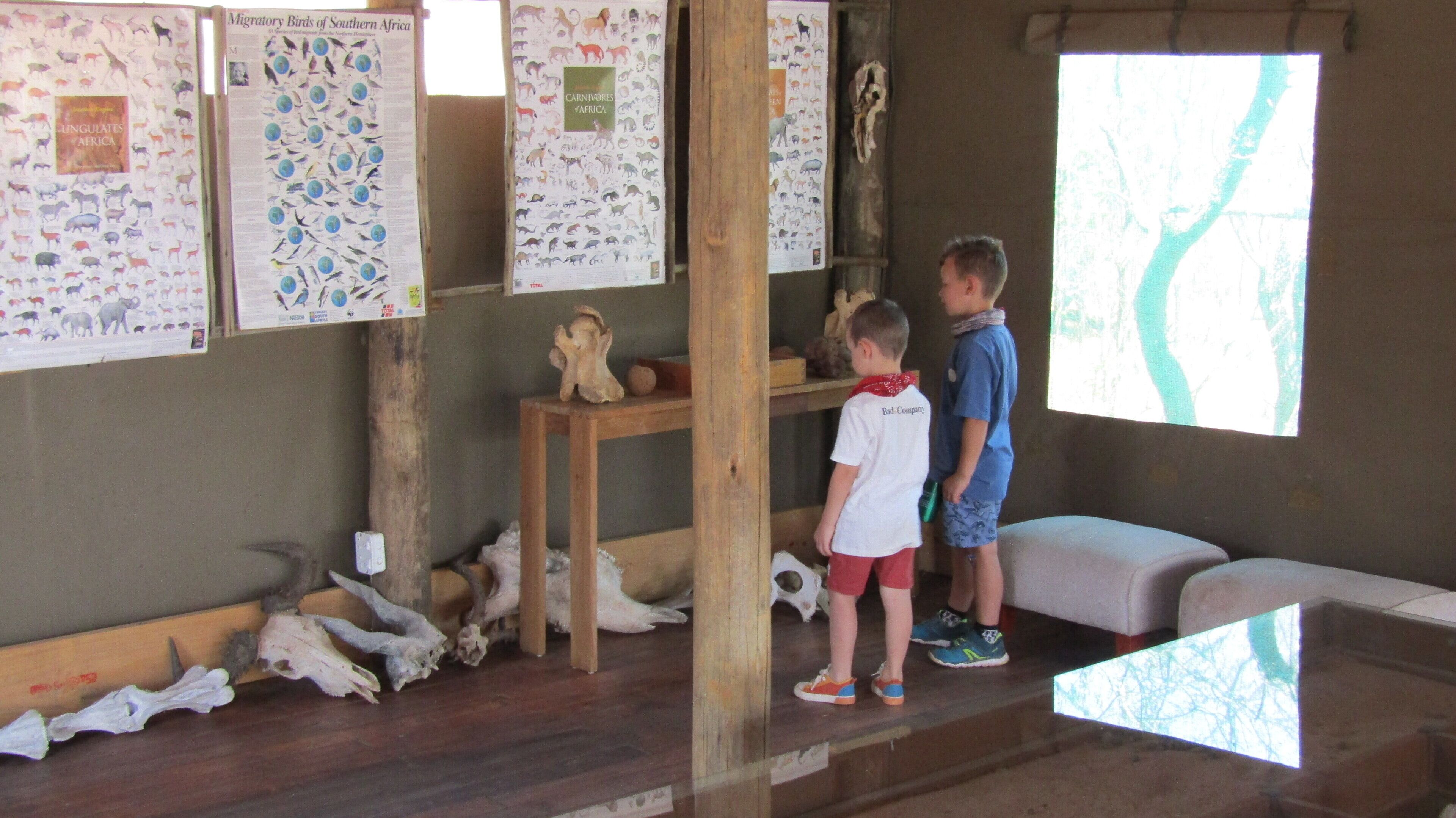 Una habitación con carteles educativos en las paredes, una estantería de madera con figuritas de animales y una ventana que da a vista de árboles.